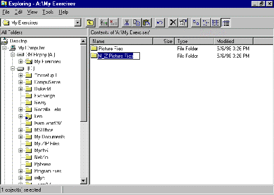View Screen